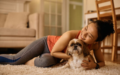 6 Carpet Cleaning Tips for Pet Owners