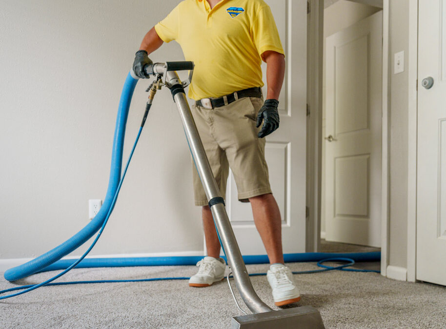 Residential Carpet Cleaning for Cleaner, Fresher Floors